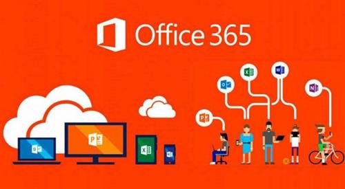 office 365 
