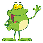 frog 
