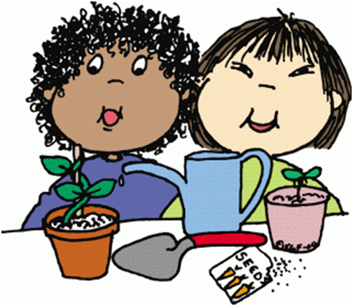 plants 
