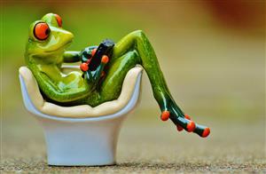 Frog Zoom! 