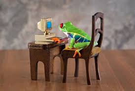 Frog On I-Ready! 