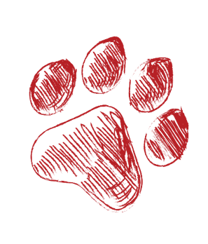 Parent Resources