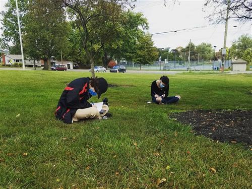 Journaling outside 